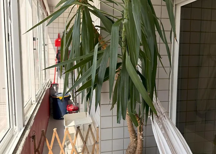 Διαμέρισμα Cozy And Quiet Near The Center Μπράγκα